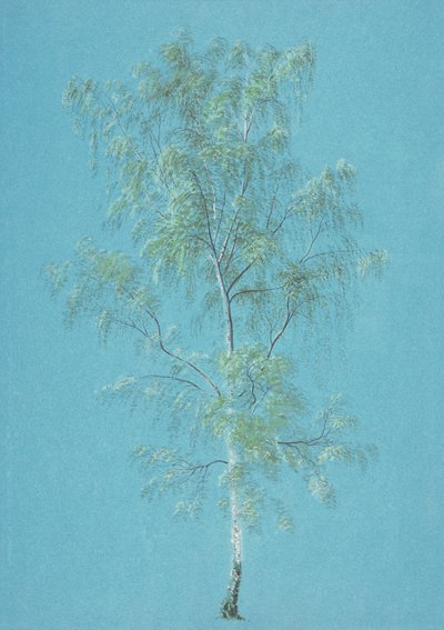 Árbol de Abedul de Joseph Mallord William Turner